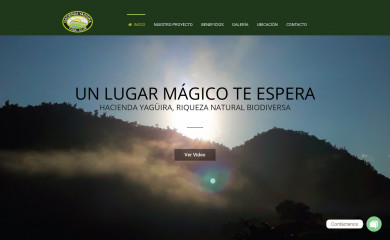 yaguiramindo.com screenshot