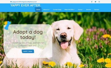 yappyeverafter.org.uk screenshot
