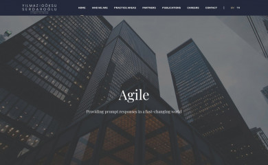 ygslaw.com screenshot