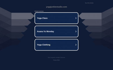 yogajunkiestudio.com screenshot