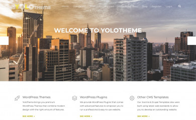 http://yolotheme.com screenshot