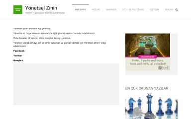 yonetselzihin.com screenshot