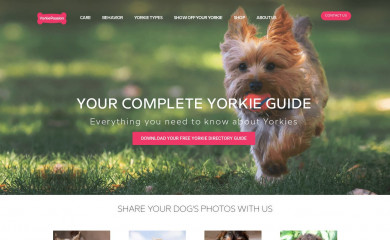 yorkiepassion.com screenshot