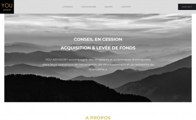 you-advisory.com screenshot