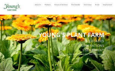 youngsplantfarm.com screenshot