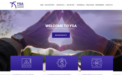 ysa.co.za screenshot