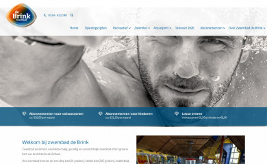 zwembaddebrink.nl screenshot