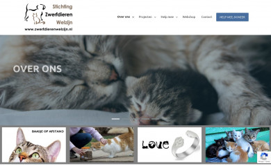 zwerfdierenwelzijn.nl screenshot