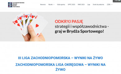 zzbs.pl screenshot