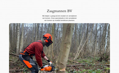 zaagmannen.nl screenshot
