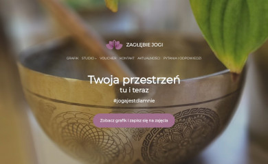 zaglebiejogi.pl screenshot