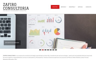 zafiroconsultoria.cl screenshot