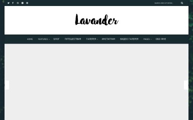 zalielleblog.ru screenshot