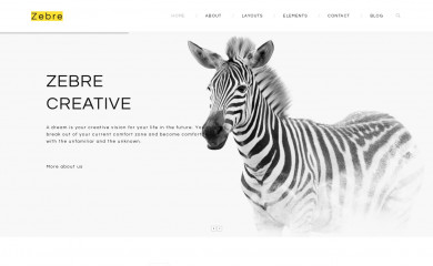 TM Zebre screenshot
