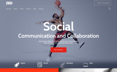 zedmedia.pk screenshot