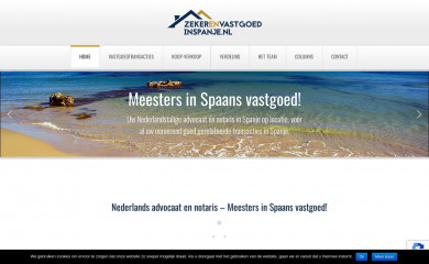 zekerenvastgoedinspanje.nl screenshot