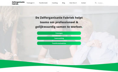 zelforganisatiefabriek.nl screenshot