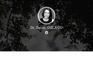 zerrinoglagu.com screenshot