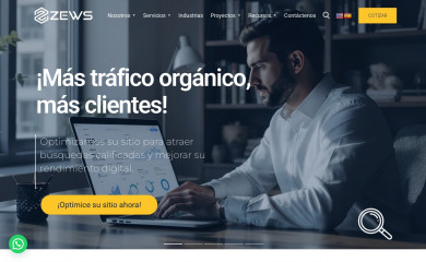 zewsweb.com screenshot