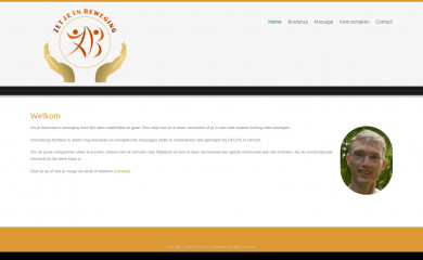 zetjeinbeweging.nl screenshot