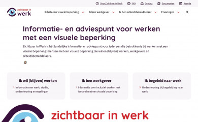 zichtbaarinwerk.nl screenshot