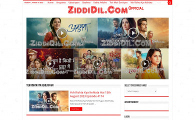 ziddidil.com screenshot