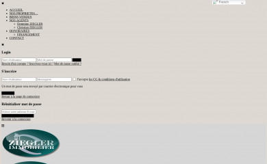 ziegler-immobilier.com screenshot