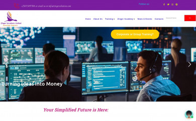 zingersolutions.com screenshot