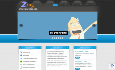 zingonlineservices.com screenshot