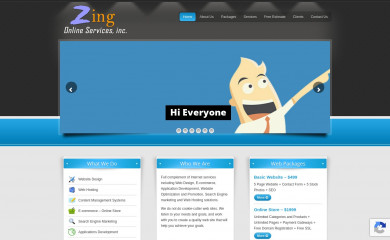 zingonlineservices.com screenshot