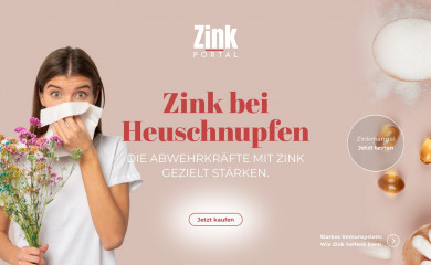 zink-portal.de screenshot