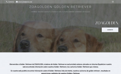 zoagolden.es screenshot