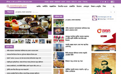 zoombangla.com screenshot