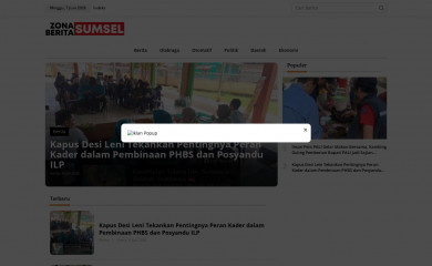 zonaberitasumsel.com screenshot