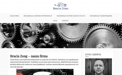 zong.com.pl screenshot