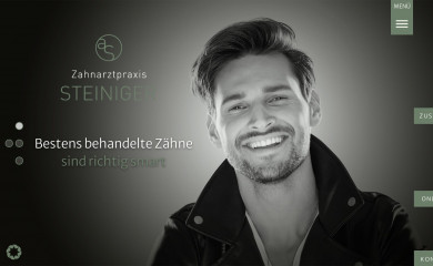 zp-steiniger.de screenshot