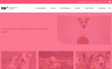 zpsiegopunktuwidzenia.pl screenshot