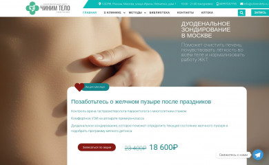 чинимтело.рф screenshot