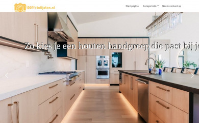 1001fotolijsten.nl screenshot
