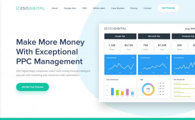 250digital.com screenshot