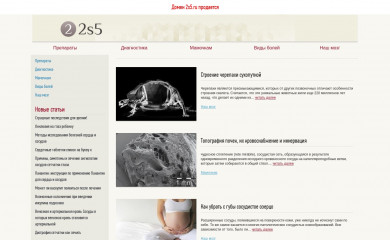 2s5.ru screenshot