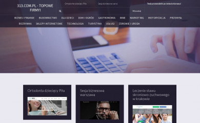 313.com.pl screenshot
