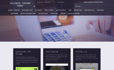 313.com.pl screenshot