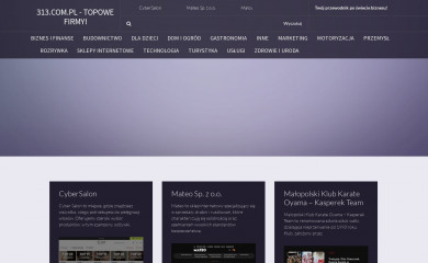 313.com.pl screenshot