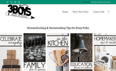 3boysandadog.com screenshot