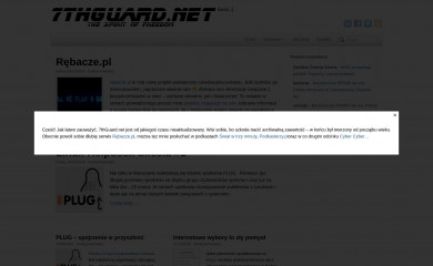7thguard.net screenshot